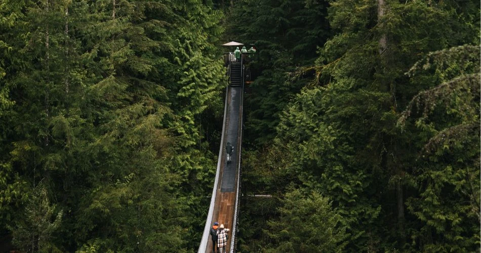 Exploring Vancouver: A Guide to the Best 9 Neighborhoods