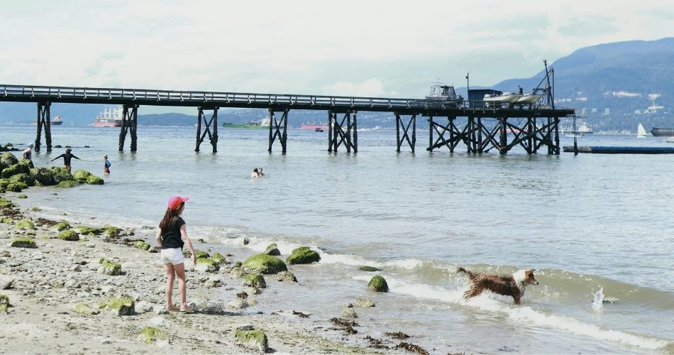 Vancouver's Beach Bliss: A Traveler's Guide