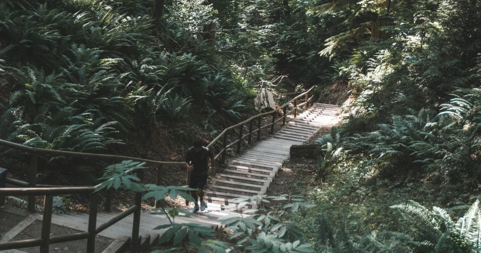 Vancouver's Beach Bliss: A Traveler's Guide