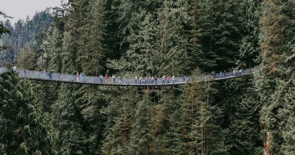 Best 7 Family-Friendly Activities in Vancouver