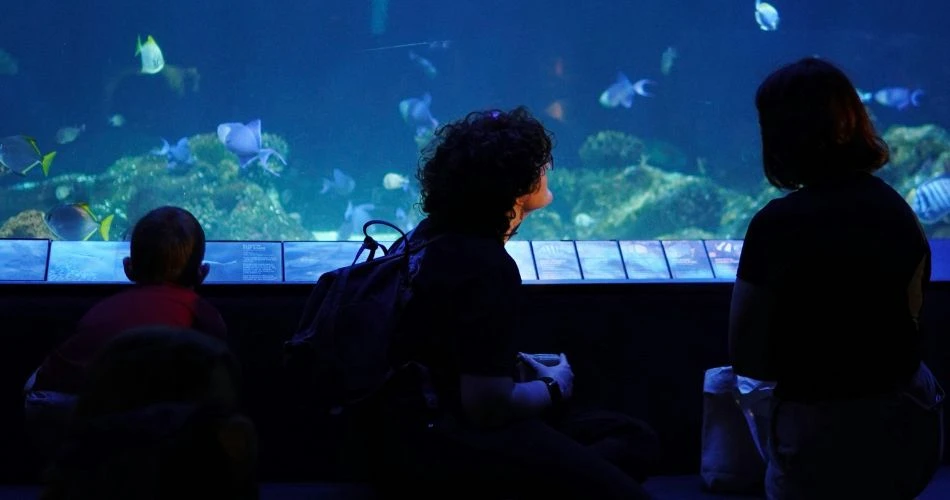Best 7 Family-Friendly Activities in Vancouver