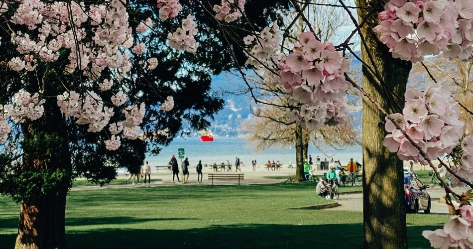 Best 7 Family-Friendly Activities in Vancouver
