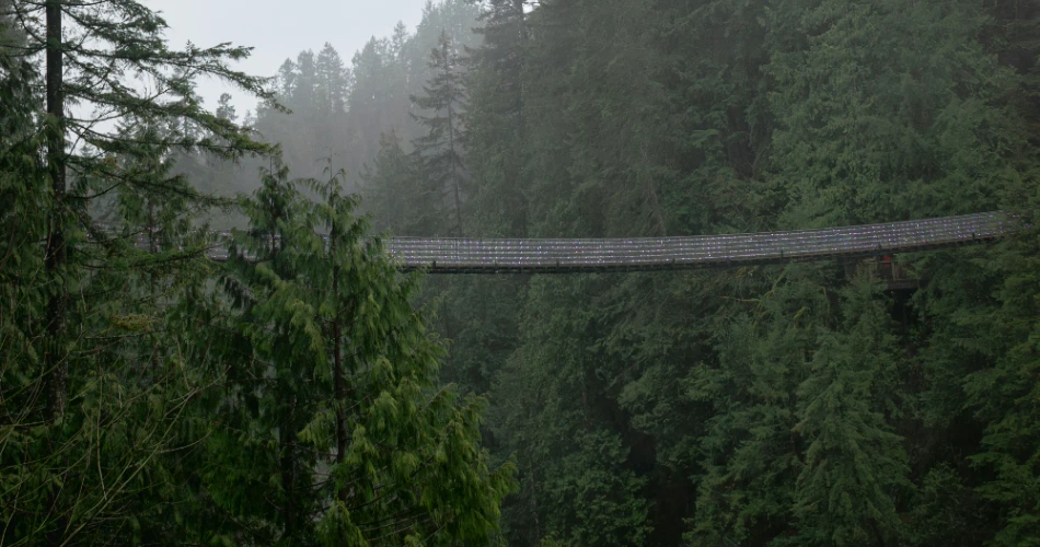Must See Vancouver Views That Will Take Your Breath Away