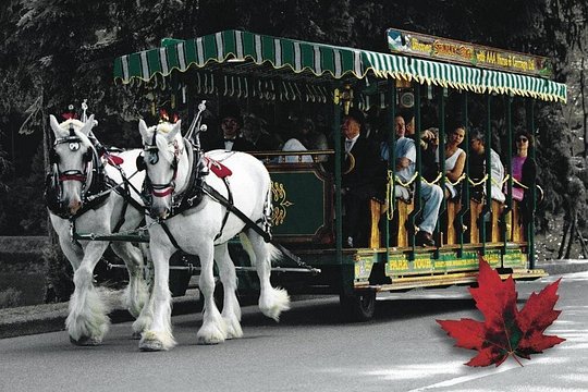 Tour image 1