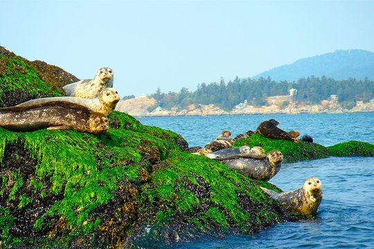 Tour image 10