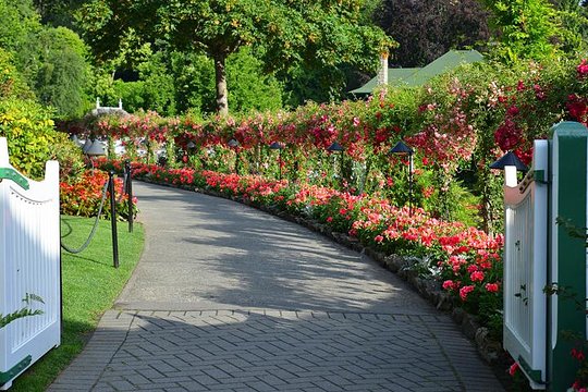 Tour image 3