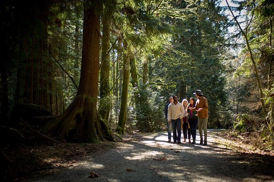 Tour image 11