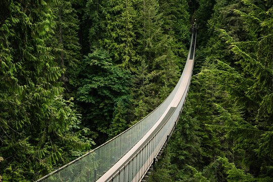 Tour image 1