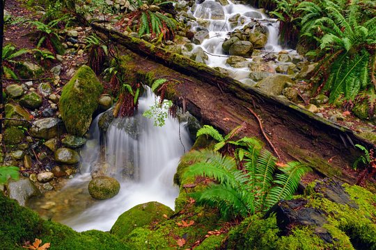 Tour image 2