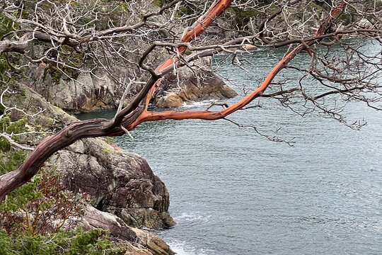 Tour image 7