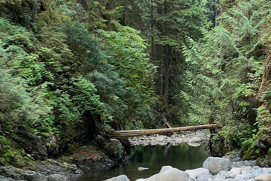 Tour image 8