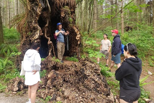 Tour image 5