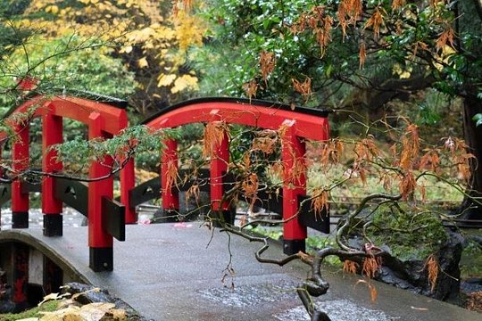 Tour image 7