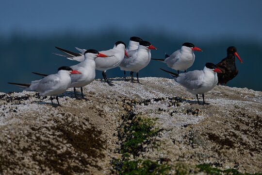 Tour image 10